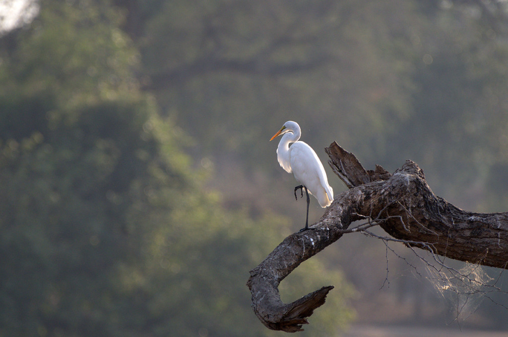 pentax_150-450_01
