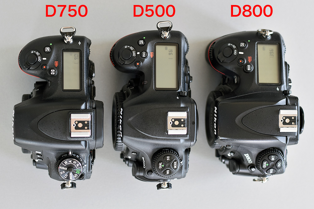 Nikon D500 im Vergleich mit Nikon D650 und Nikon D800