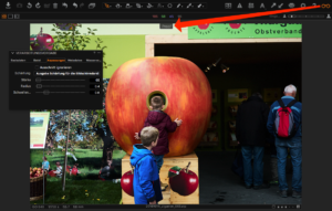 Sie aktivieren die Proof-Ansicht entweder über das Brillen-Icon in der Werkzeugleiste oder im Menü »Ansicht«